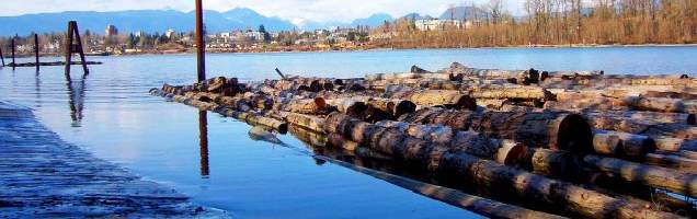 Curso de inglés en Maple Ridge con Language International